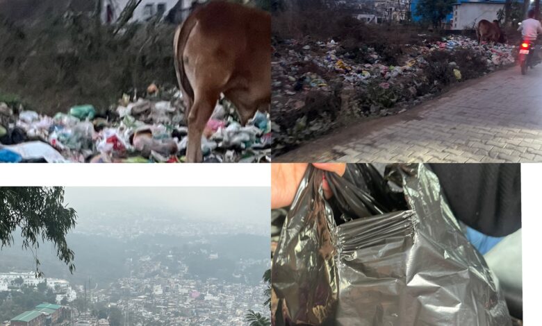 Asar EXCLUSIVE: “प्लास्टिक फ्री हिमाचल” सिर्फ काग़ज़ों में