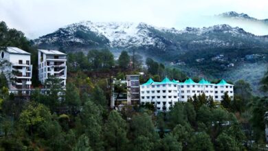 शूलिनी विश्वविद्यालय में 21 मार्च को आयोजित होगा 9वां दीक्षांत समारोह