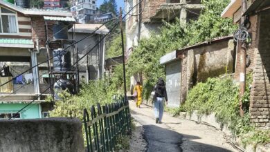 बारिश खत्म होते ही शिमला की प्रभावित सड़कों की मेटलिंग शुरू