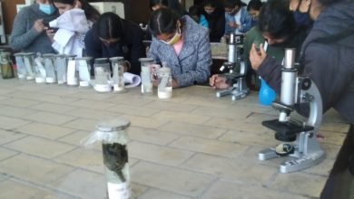 असर  विशेष : छात्राओं के सबसे बड़े कॉलेज में अब ऐसे होगी बेटियों की होगी पढ़ाई