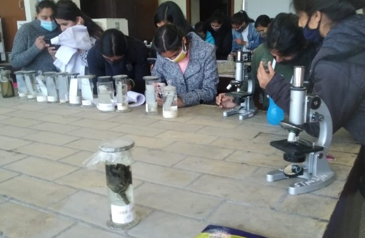 असर विशेष : छात्राओं के सबसे बड़े कॉलेज में अब ऐसे होगी बेटियों की होगी पढ़ाई असर विशेष : छात्राओं के सबसे बड़े कॉलेज में अब ऐसे होगी बेटियों की होगी पढ़ाई