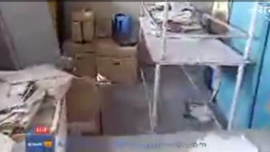 असर इंपैक्ट: अब चूहें नहीं कुतर पाएंगे दवाओं के सैंपल