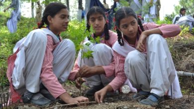Photo of खास खबर : हिमाचल के स्कूली छात्रों ने  रोपे 2,53,532 पौधे