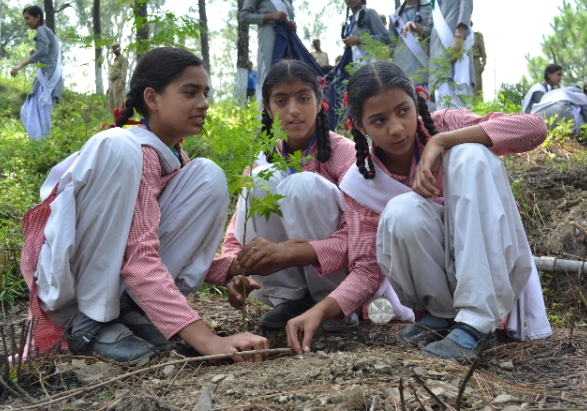 खास खबर : हिमाचल के स्कूली छात्रों ने रोपे 2,53,532 पौधे खास खबर : हिमाचल के स्कूली छात्रों ने रोपे 2,53,532 पौधे