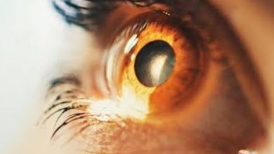 असर विशेष : अब आए ऑनलाइन वर्क के साइडइफेक्ट