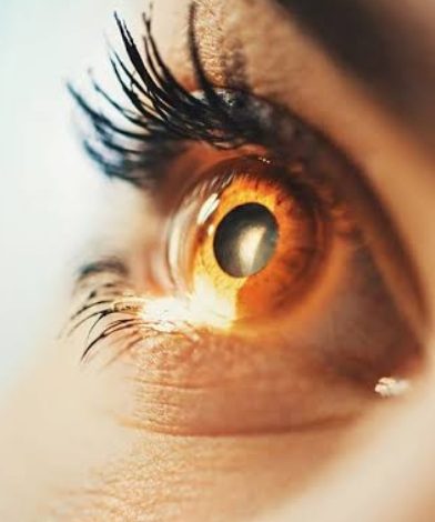 असर विशेष : अब आए ऑनलाइन वर्क के साइडइफेक्ट असर विशेष : अब आए ऑनलाइन वर्क के साइडइफेक्ट