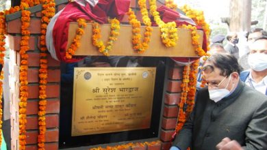 शिमला में ब्रिज बचायेंगें लोगों की जान शिमला में ब्रिज बचायेंगें लोगों की जान