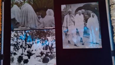 गांधी जी शिमला में….