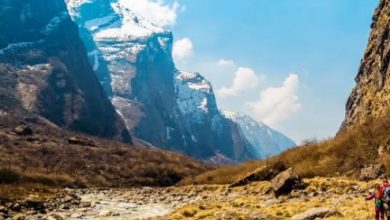 खास खबर : हिमाचल में अभी भी 1,760 व्यक्ति लापता खास खबर : हिमाचल में अभी भी 1,760 व्यक्ति लापता