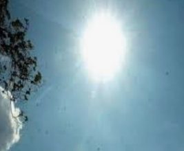 खास खबर :अब बढ़ने लगा शिमला का पारा खास खबर :अब बढ़ने लगा शिमला का पारा