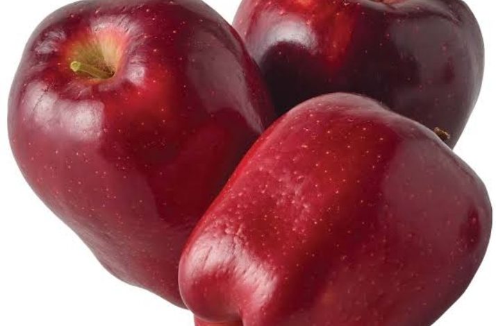 खास खबर : अमेरिका से लगभग 9 लाख सेब क्लोनल रूट स्टॉक और उन्नत कल्टीवियर्स का आयात खास खबर : अमेरिका से लगभग 9 लाख सेब क्लोनल रूट स्टॉक और उन्नत कल्टीवियर्स का आयात