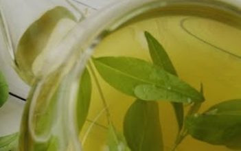 कोरोना काल में हरी चाय से कैसे बढ़ाएं प्राण शक्ति या इम्युनिटी ?