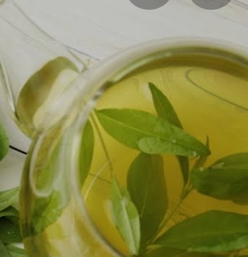 कोरोना काल में हरी चाय से कैसे बढ़ाएं प्राण शक्ति या इम्युनिटी ? कोरोना काल में हरी चाय से कैसे बढ़ाएं प्राण शक्ति या इम्युनिटी ?