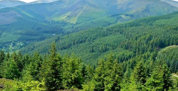 असर संपादकीय : पर्यावरण संरक्षण: मानव जीवन का आधार