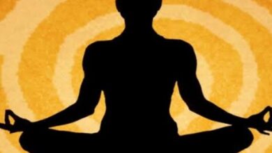 समाज की सेहत के लिए योग जरूरी: कुलपति 