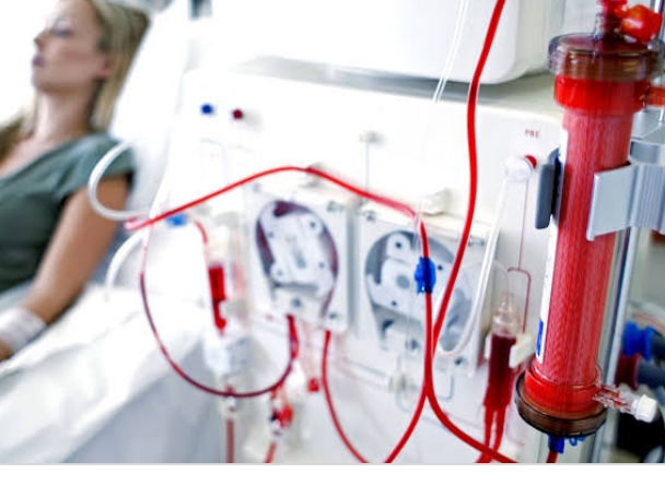 जीवन बचाने की मुहीम में उमंग बढ़ रहा आगे जीवन बचाने की मुहीम में उमंग बढ़ रहा आगे