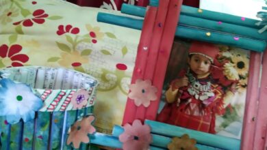 शिमला  में  बेस्ट फ्रॉम वेस्ट’ का कमाल