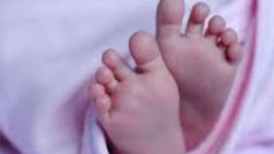 EXCLUSIVE: वाह रे किस्मत : गोबर में मिली मासूम को अब आईजीएमसी में “आया” तक नसीब नहीं EXCLUSIVE: वाह रे किस्मत : गोबर में मिली मासूम को अब आईजीएमसी में “आया” तक नसीब नहीं