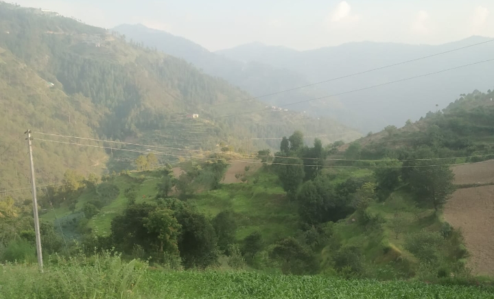 प्रदेश में वर्ष 2021-22 में एक करोड़ पौधे रोपित किए जाएंगे प्रदेश में वर्ष 2021-22 में एक करोड़ पौधे रोपित किए जाएंगे