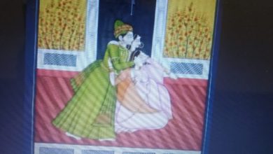 जवाहरलाल नेहरू राजकीय ललित कला महाविद्यालय में  बहुमूल्य  चित्रकला के पेश हुए नमूने