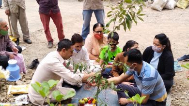 वन महोत्सव में लक्कड़ बाजार-क्यार कोटी   ,मार्ग पर 300 देवदार व बान लगाए