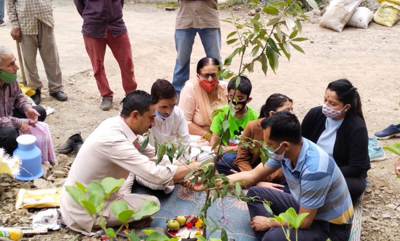 वन महोत्सव में लक्कड़ बाजार-क्यार कोटी   ,मार्ग पर 300 देवदार व बान लगाए वन महोत्सव में लक्कड़ बाजार-क्यार कोटी   ,मार्ग पर 300 देवदार व बान लगाए