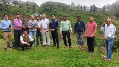 स्टेट बैंक ऑफ़ इंडिया ने किया पौधरोपण स्टेट बैंक ऑफ़ इंडिया ने किया पौधरोपण