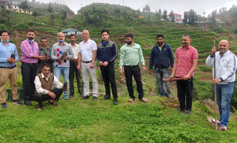 स्टेट बैंक ऑफ़ इंडिया ने किया पौधरोपण स्टेट बैंक ऑफ़ इंडिया ने किया पौधरोपण