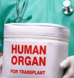 खास खबर: एक और देह, देहदान के लिए लाई गई आईजीएमसी