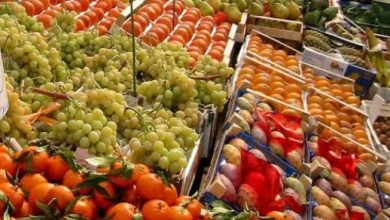 जिला ऊना में लगभग 100 करोड़ रुपये के निवेश से मैगा फूड पार्क