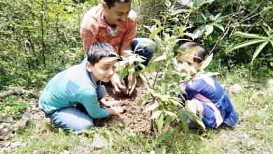 उमंग ने मशोबरा के नजदीक किया पौधरोपण