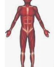 सोलन में पैरा बोसिया कोर्ट मस्कुलर डिस्ट्राॅफी प्रभावितों के लिए  खोलेगा नए रास्ते