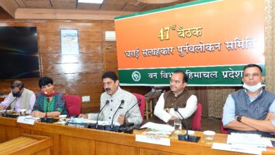 झुंड के साथ चलने वाले वास्तविक चरवाहों की पहचान करने के निर्देश