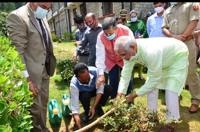 उच्च घनत्व, उच्च उत्पादन और रोग प्रतिरोधक सेब की किस्मों पर शोध जरूरी