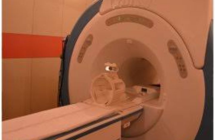 27 और 28 सितंबर को आईजीएमसी में नहीं होंगें सीटी स्कैन