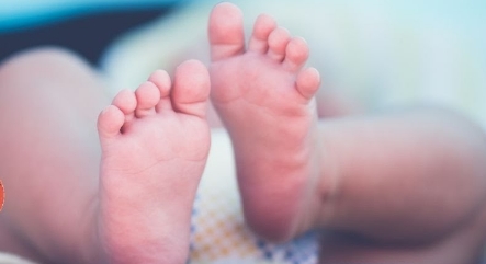 असर विशेष: नवरात्र के दौरान शिमला में जन्मीं 20 ‘देवियां’ असर विशेष: नवरात्र के दौरान शिमला में जन्मीं 20 ‘देवियां’