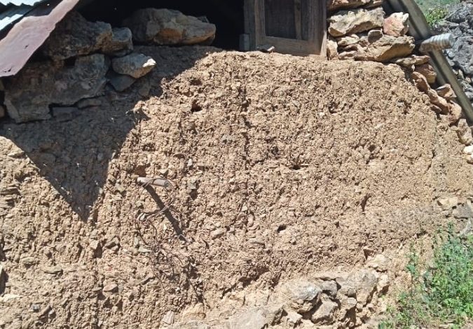 ग्राम पंचायत चनावग में तेंदुए, बाघ का आतंक ग्राम पंचायत चनावग में तेंदुए, बाघ का आतंक