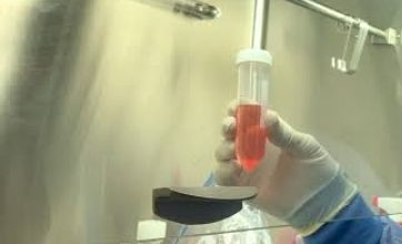 EXCLUSIVE:  अलर्ट: वीट ग्लूटेन सहित नमकीन के सैंपल फेल  EXCLUSIVE:  अलर्ट: वीट ग्लूटेन सहित नमकीन के सैंपल फेल