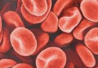 किल्लत : शिमला में ए-निगेटिव रक्त की कमी