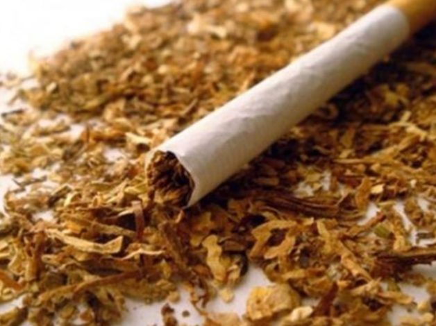 Health Department envisageTobacco Free Educational Institutions and Tobacco Free Panchayats by 2021-22 in the State