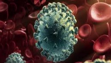 असर विशेष: अब कोवीड कंट्रोल पर लगेगी ये शर्त असर विशेष: अब कोवीड कंट्रोल पर लगेगी ये शर्त