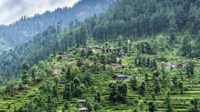 51 साल बाद मंडी में हिमाचल के दूसरे राज्य विश्वविद्यालय के मायने