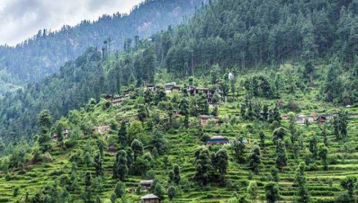 51 साल बाद मंडी में हिमाचल के दूसरे राज्य विश्वविद्यालय के मायने 51 साल बाद मंडी में हिमाचल के दूसरे राज्य विश्वविद्यालय के मायने