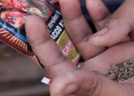 बड़ी खबर: देश के सबसे कम तंबाकू का सेवन करने वाले राज्यों में हिमाचल प्रदेश शामिल बड़ी खबर: देश के सबसे कम तंबाकू का सेवन करने वाले राज्यों में हिमाचल प्रदेश शामिल