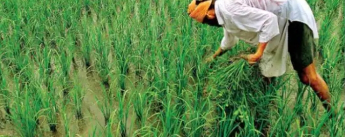 तीन कृषि कानून वापिस लेने के निर्णय की घोषणा तीन कृषि कानून वापिस लेने के निर्णय की घोषणा
