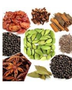 खास खबर : मसाला उत्पादन में राष्ट्रीय मानचित्र पर उभरेगा हिमाचल खास खबर : मसाला उत्पादन में राष्ट्रीय मानचित्र पर उभरेगा हिमाचल