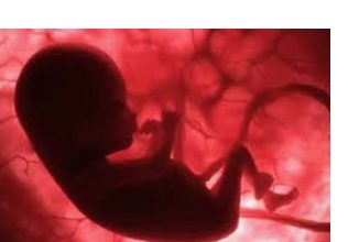 असर विशेष: ऐसे होगा गर्भ में पल रहे शिशु का कोविड से बचाव असर विशेष: ऐसे होगा गर्भ में पल रहे शिशु का कोविड से बचाव