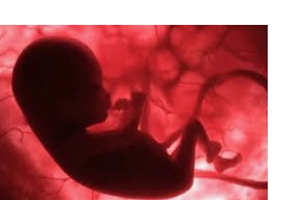 असर विशेष: ऐसे होगा गर्भ में पल रहे शिशु का कोविड से बचाव असर विशेष: ऐसे होगा गर्भ में पल रहे शिशु का कोविड से बचाव