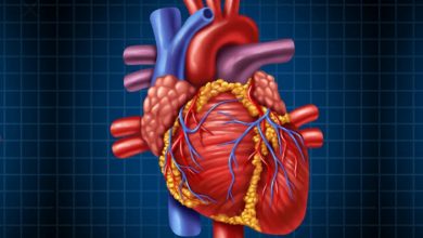 EXCLUSIVE: हिमाचल में दिल खतरे में…. EXCLUSIVE: हिमाचल में दिल खतरे में….