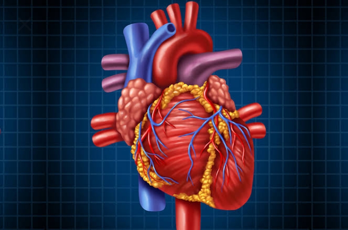 EXCLUSIVE: हिमाचल में दिल खतरे में…. EXCLUSIVE: हिमाचल में दिल खतरे में….